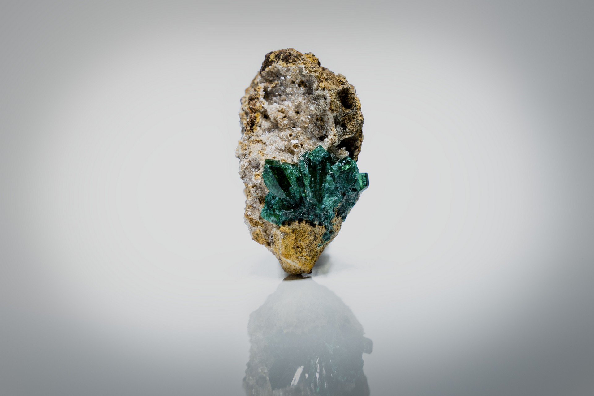 Dioptazowy bukiet&nbsp;